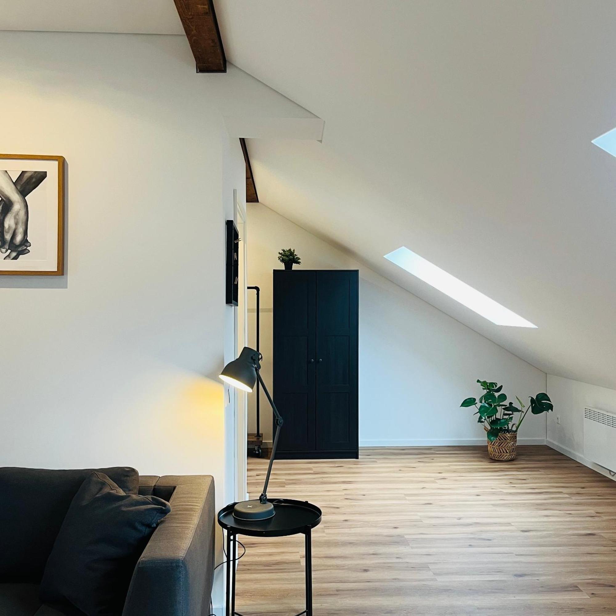 City Loft Apartment Bad Saeckingen エクステリア 写真