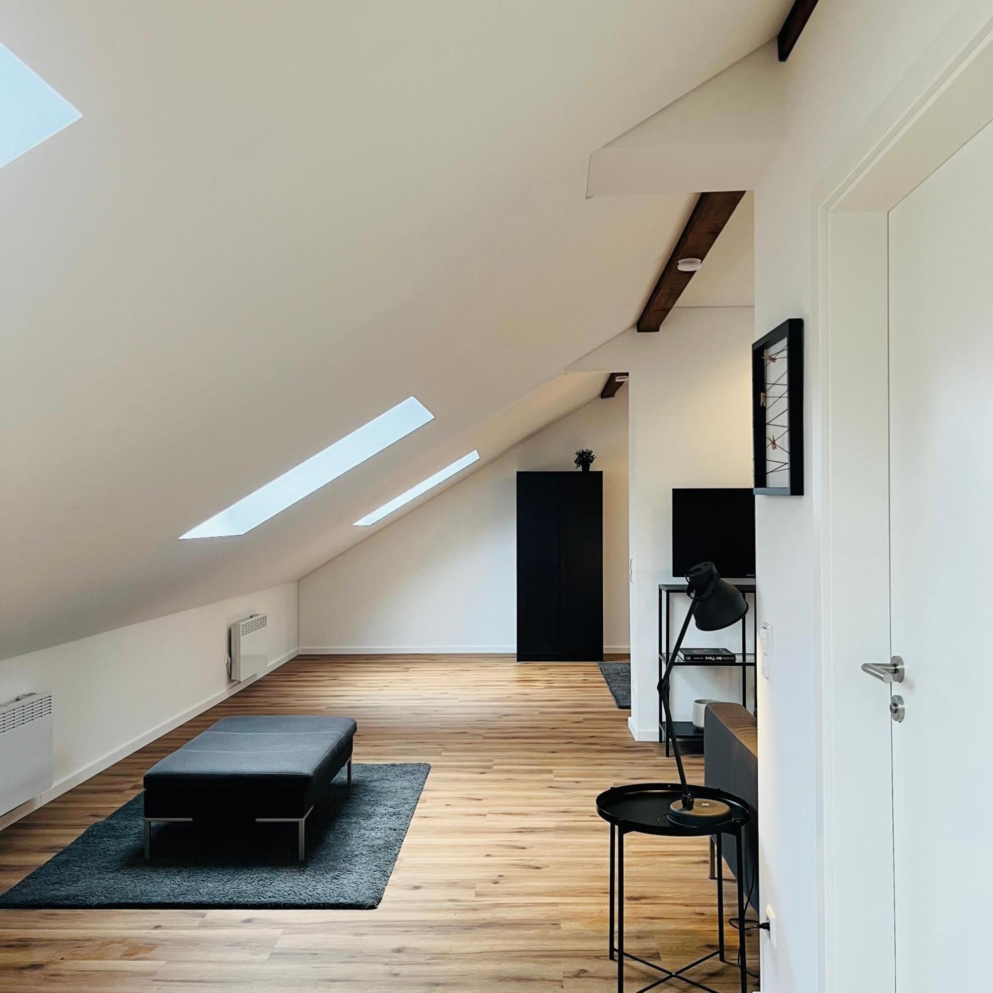 City Loft Apartment Bad Saeckingen エクステリア 写真