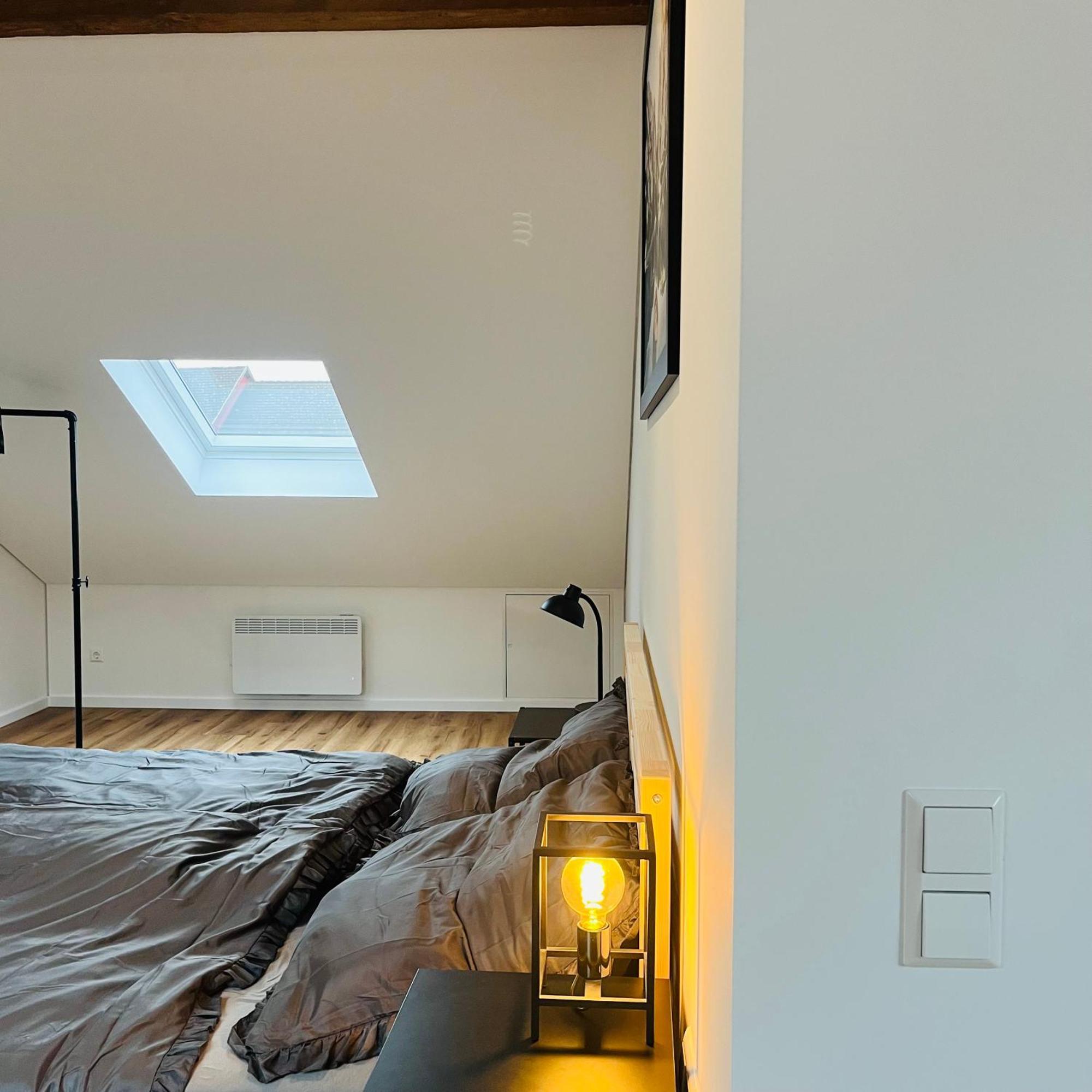 City Loft Apartment Bad Saeckingen エクステリア 写真