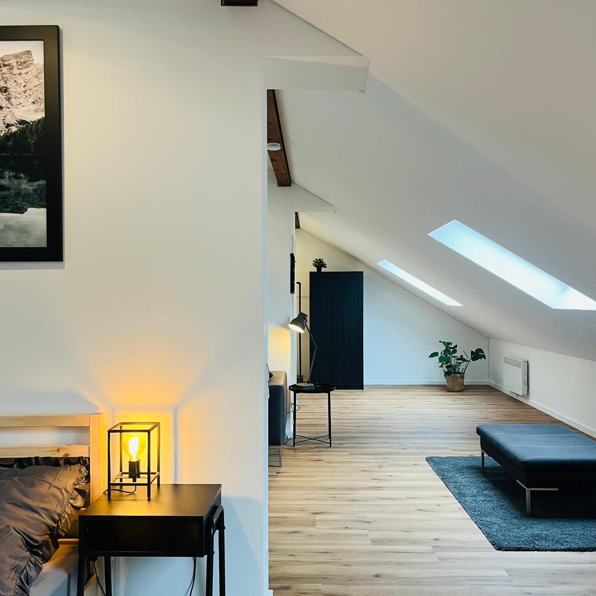City Loft Apartment Bad Saeckingen エクステリア 写真