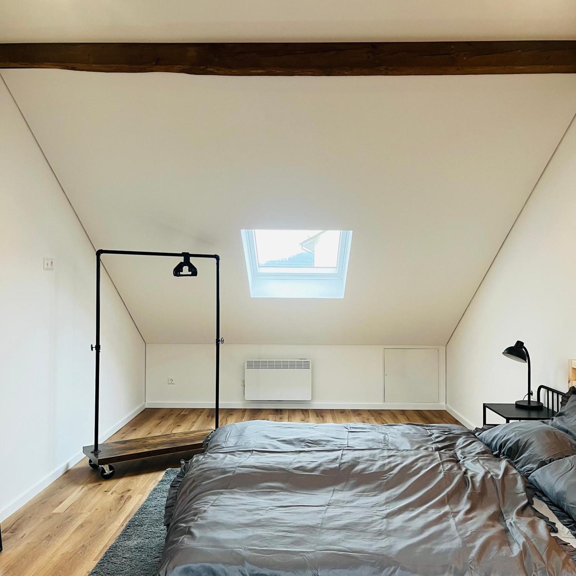 City Loft Apartment Bad Saeckingen エクステリア 写真